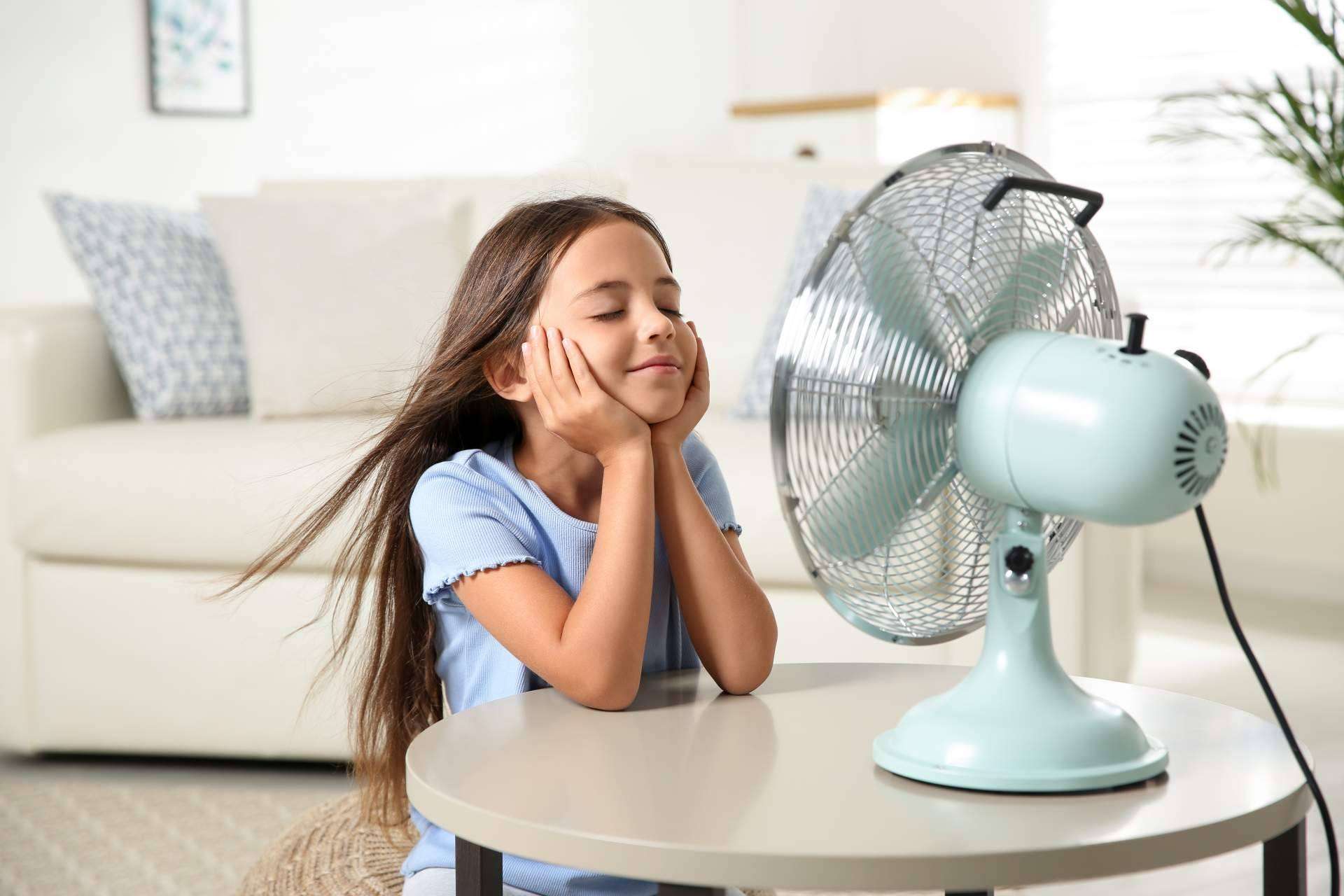 Ventiladores: el mejor aliado para el calor en verano, por Suministros Tomás Beltrán