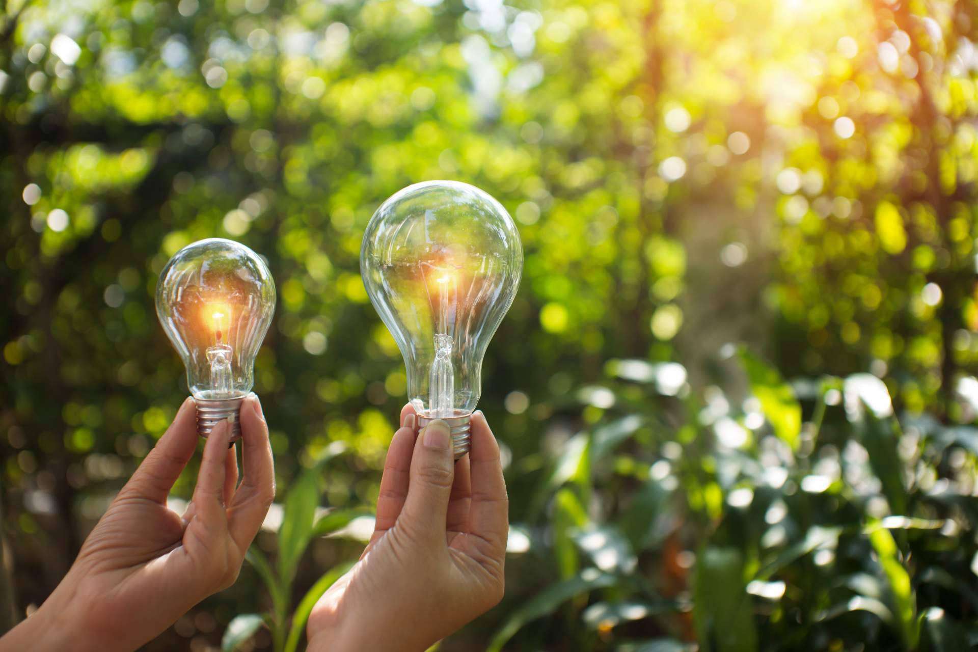 P&L Global: Colombia se convierte en el mejor país para establecer una empresa de energías renovables