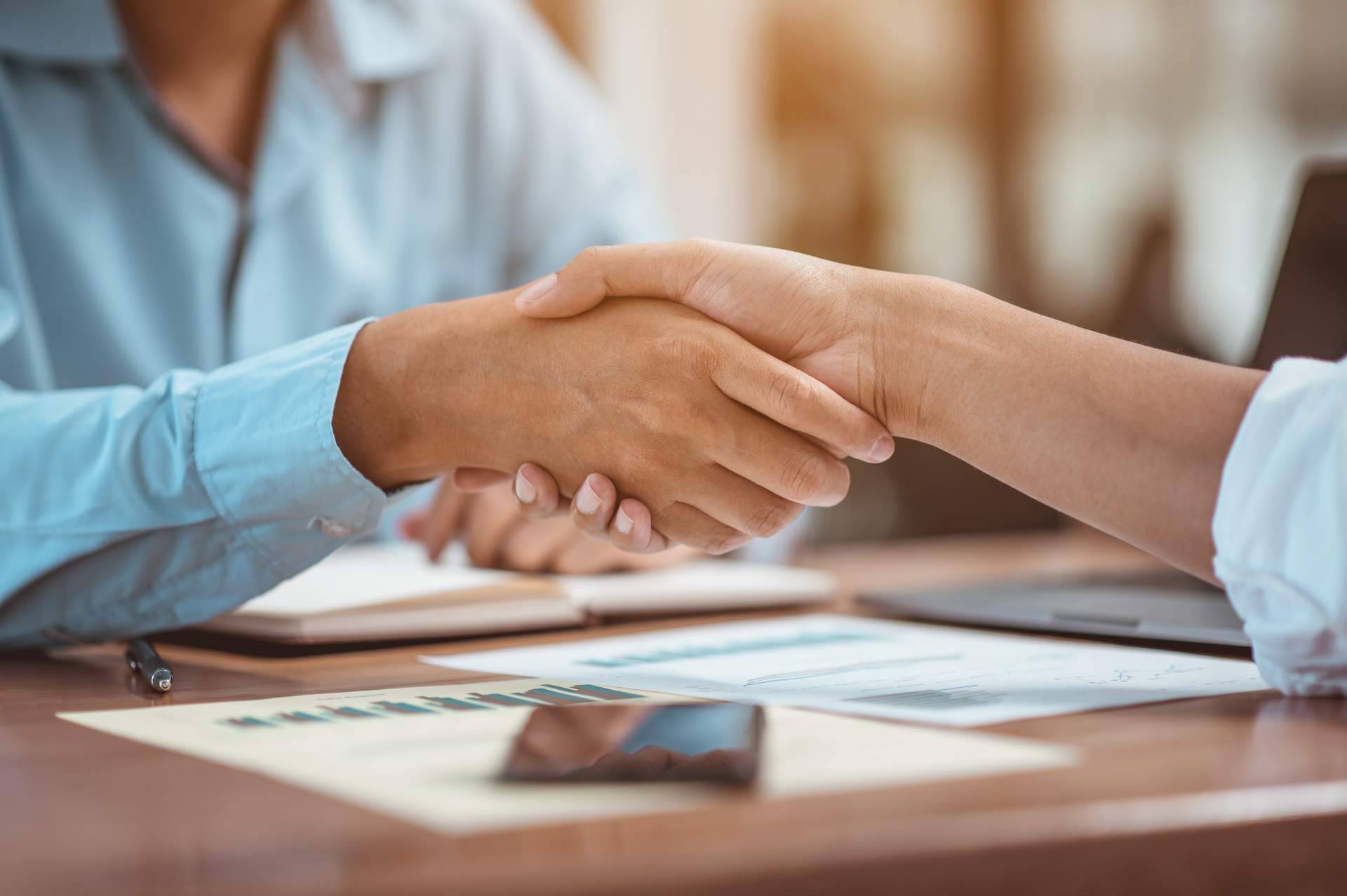 The Lion Brokers permite conseguir un sustancial ahorro financiero en empresas