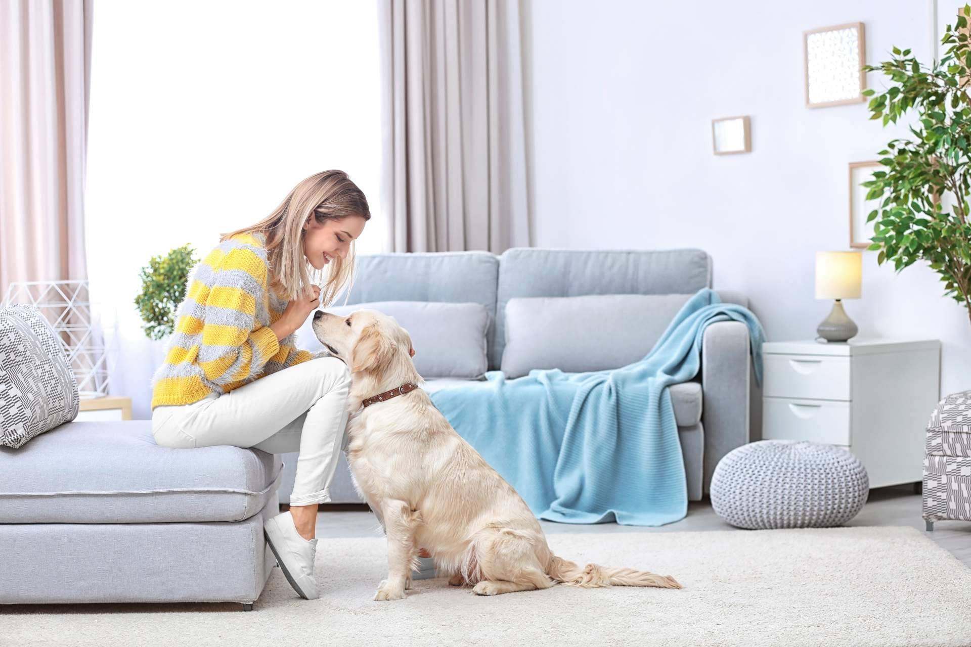 Recomendaciones para una buena convivencia con perros y gatos. La antrozoología y etología del perro y del gato