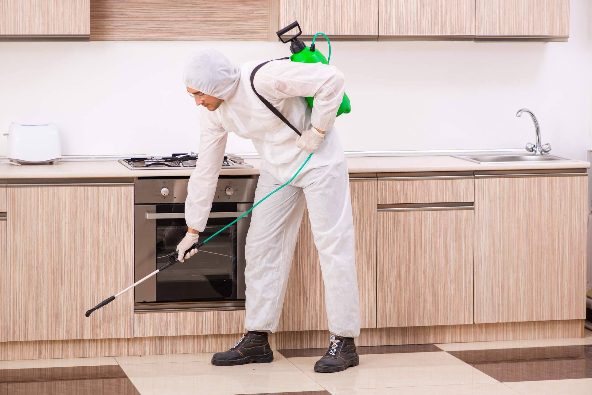 El impacto de la pandemia en las compañías de control y desinfección de plagas, por LEU Servicios