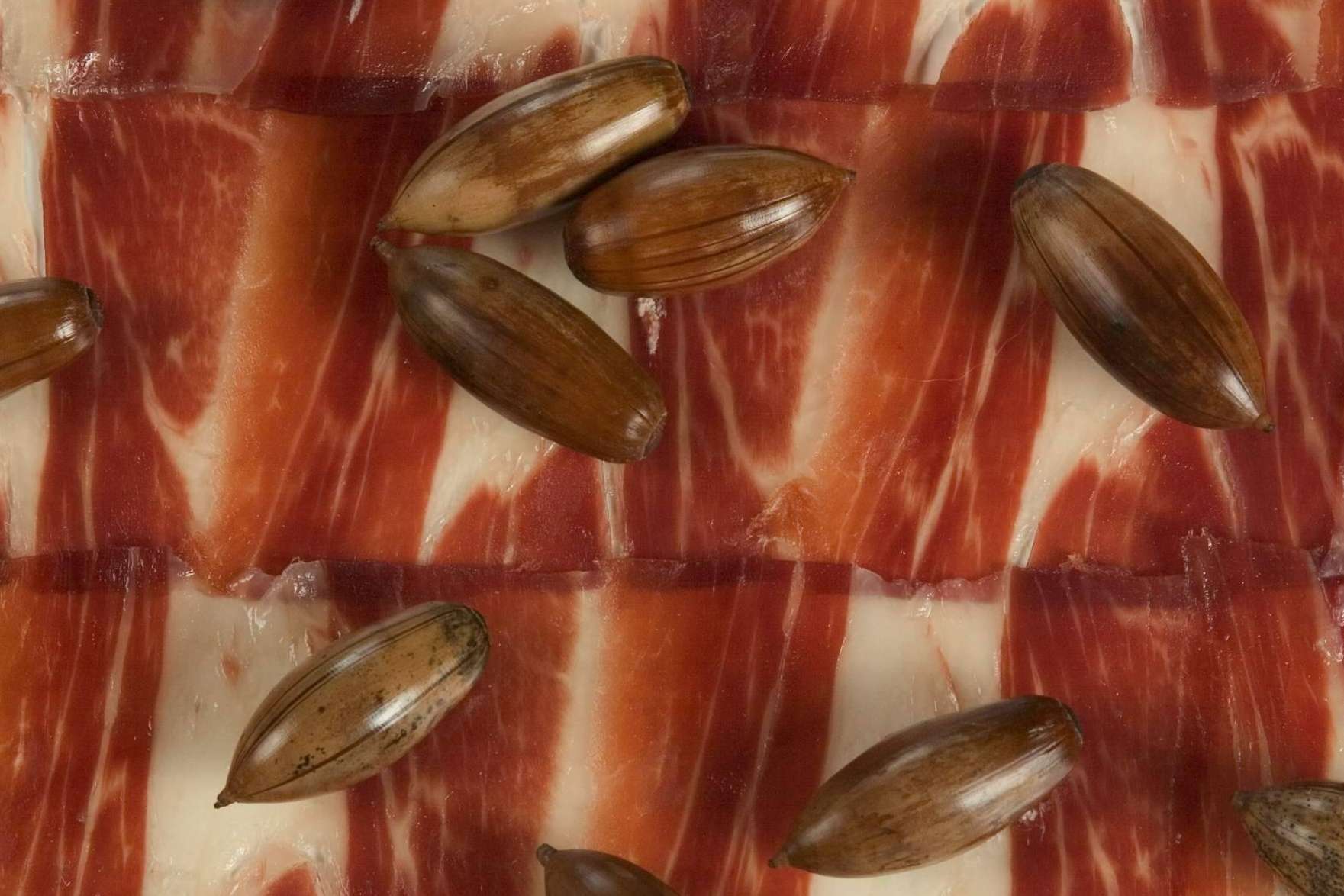 La protección cardiovascular del jamón ibérico y de bellota