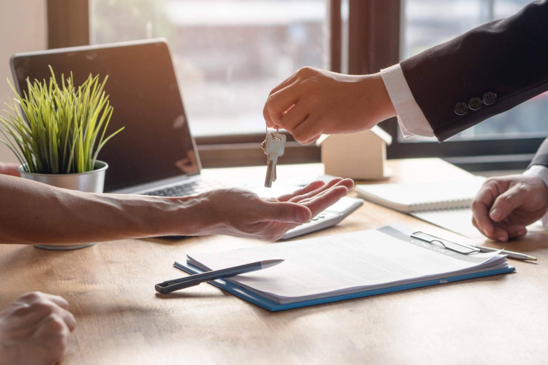 Optar por una franquicia como Realtyplus tiene muchas probabilidades de éxito