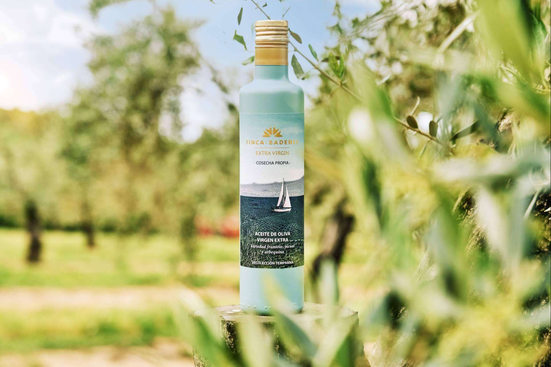 Los AOVE tempranos ya están aquí, la nueva temporada de los aceites de oliva de la mano de Aires de Jaén
